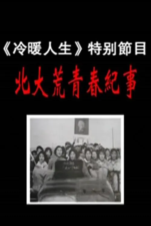 皮皮龟电视剧在最线观看